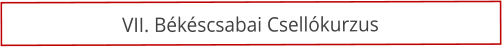 VII. B�k�scsabai Csell�kurzus