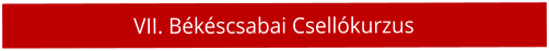 VII. B�k�scsabai Csell�kurzus